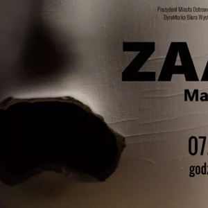 Wystawa Marka Cecuły: 'ZAAM'