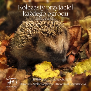 Kolczasty przyjaciel każdego ogrodu – sobota w muzeum