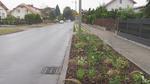 OSTROWIEC | Więcej kwiatów i zieleni na ulicy Trzeciaków