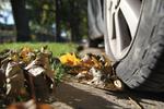 BĄDŹ WIDOCZNY NA DRODZE - NOŚ ODBLASKI