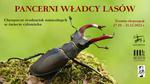 Pancerni władcy lasów - wystawa przyrodnicza - Muzeum Historyczno - Archeologiczne w Ostrowcu Świętokrzyskim