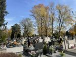 Wielkie sprzątanie i przygotowania do Wszystkich Świętych na Cmentarzu Komunalnym w Ostrowcu