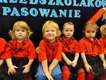 Pasowanie w "Brzechwie"