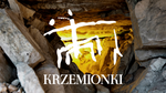 Muzeum zaprasza do Krzemionek - spotkanie z Mikołajem i pancernymi władcami lasów
