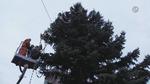 OSTROWIEC | Na osiedlu Ogrody mieszkańcy ubiorą choinkę