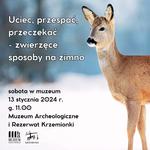 Uciec, przespać, przeczekać - sobota w muzeum - Muzeum Historyczno - Archeologiczne w Ostrowcu Świętokrzyskim