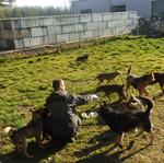 Dzięki akcji "Adoptuj. Nie Kupuj" kolejne bezdomne psy i koty znajdują domy