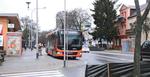 MZK wraca na ul. Sienkiewicza