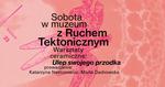 Ulep swojego przodka. Bezpłatne warsztaty ceramiczne - sobota w muzeum - Muzeum Historyczno - Archeologiczne w Ostrowcu Świętokrzyskim