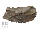 Nóż sierpowaty - Muzeum Historyczno - Archeologiczne w Ostrowcu Świętokrzyskim