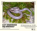 Czy gniewosz się gniewa? - sobota w muzeum - Muzeum Historyczno - Archeologiczne w Ostrowcu Świętokrzyskim