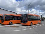 Wszystkie nowe autobusy są już w Ostrowcu. Ostatnia partia właśnie dotarła