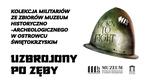 "Uzbrojony po zęby". Wystawa militariów w Pałacu Wielkopolskich w Częstocicach