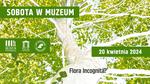 Flora incognita? | Sobota w muzeum - Muzeum Historyczno - Archeologiczne w Ostrowcu Świętokrzyskim