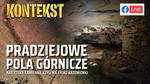 Pradziejowe pola górnicze nad rzeką Kamienną - KONTEKST - Muzeum Historyczno - Archeologiczne w Ostrowcu Świętokrzyskim