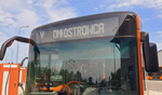 Na Dni Ostrowca dojedziemy specjalną linią autobusową MZK