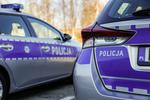 Błyskawiczne zatrzymanie sprawcy kradzieży