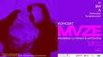 MVZE / Koncert na otwarcie wystaw "Eigengrau" i "Na styk (u)"
