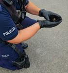 Funkcjonariusze z Komisariatu Policji w Ćmielowie pomogli rannej jaskółce