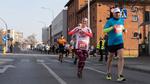 Ostrowiecki Bieg Niepodległości 2025: Zapisy na bieg 10 km i marsz 5 km