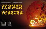 Flower Forever | Sobota w muzeum w Pałacu Wielopolskich w Częstocicach - Muzeum Historyczno - Archeologiczne w Ostrowcu Świętokrzyskim