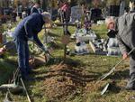 Ostrowieccy wolontariusze uprzątnęli groby osób bezdomnych i zapomnianych