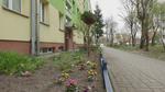 Jak osiedlowe ogródki poprawiają życie mieszkańców i środowisko