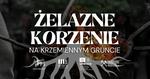 Żelazne Korzenie na Krzemiennym gruncie - warsztaty edukacyjne - Muzeum Historyczno - Archeologiczne w Ostrowcu Świętokrzyskim