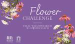 Flower challenge | Co teraz kwitnie w pałacowym parku? - Muzeum Historyczno - Archeologiczne w Ostrowcu Świętokrzyskim