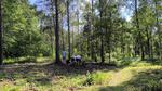 Wykopaliska na terenie Krzemionek z IA UKSW - Muzeum Historyczno - Archeologiczne w Ostrowcu Świętokrzyskim