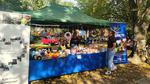 Ponad 50 organizacji na V Festiwalu