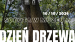 Dzień Drzewa w pałacowym parku