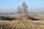 Region || Historia Goździelina - Muzeum Historyczno - Archeologiczne w Ostrowcu Świętokrzyskim