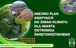Rozpoczęły się prace nad Miejskim Planem Adaptacji do zmian klimatu dla Ostrowca Świętokrzyskiego