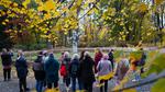 Sztuka i natura w Parku Miejskim
